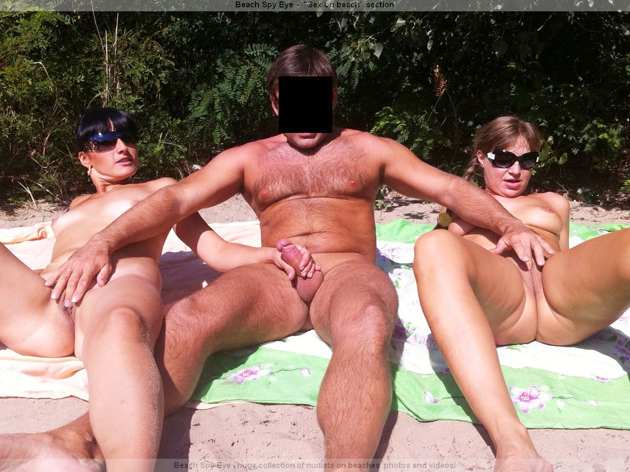 https://pbs.bulkjerk.com/39/3926/pictures/4027-2-voyeur-beach-sex.jpg